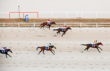 제19회 과천시장배 경주대회